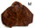 Veste femme
